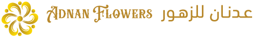 logo2